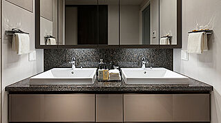 URAWA THE TOWER ( 第3期 3次 ) 洗面ダブルボウル