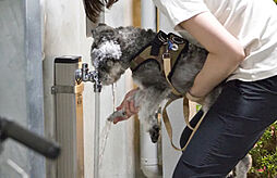 プラウド光が丘アベニュー ( 第2期 ) 設備