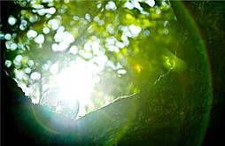 プラウド京都高瀬川 設備