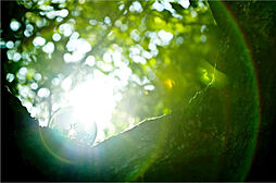 プラウド神戸トアロード 設備