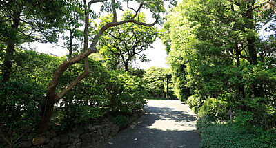 市川市芳澤ガーデンギャラリー 約890m（徒歩12分）