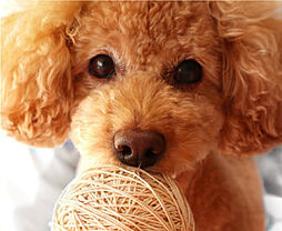 パークホームズ文京白山ヒルテラス 設備