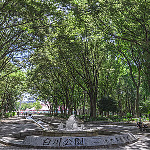 白川公園 約140m(徒歩2分)