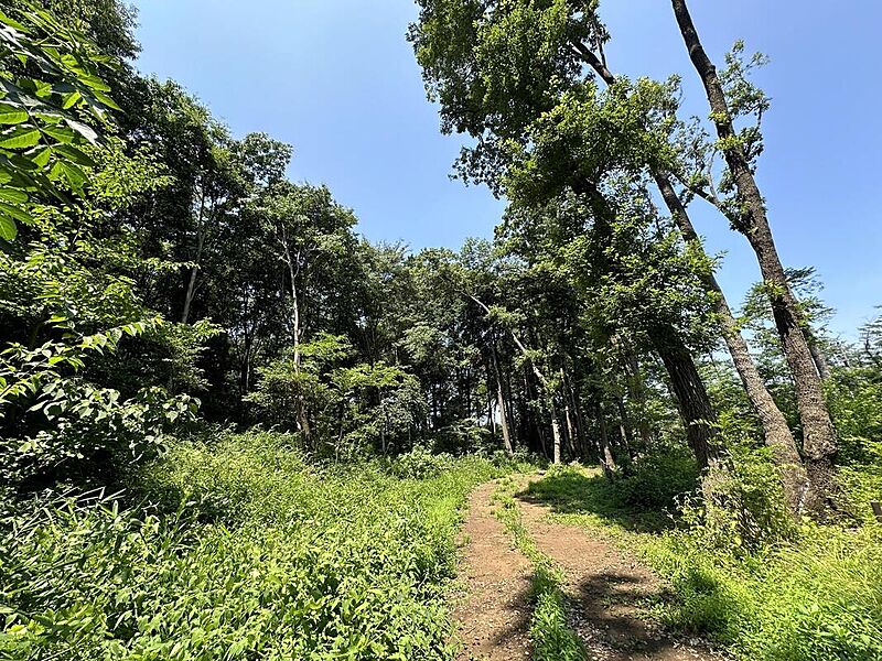 【レジャー】金山森の広場