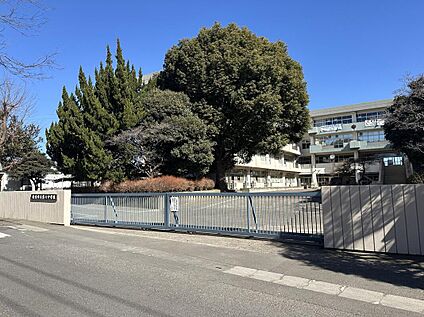 新座市立石神小学校 800ｍ(徒歩10分)