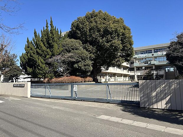 新座市立石神小学校(約800m)