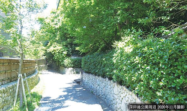 ※2020年11月撮影