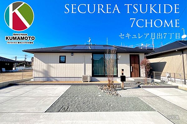 19号地