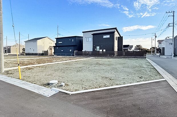 ※現地写真［8号地］