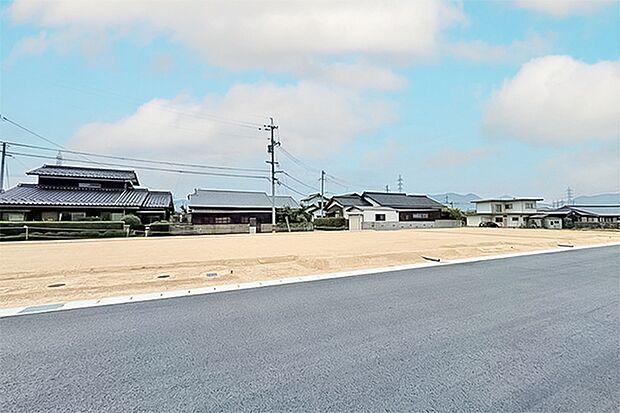 ※現地写真［7号地］