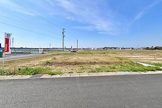 ※現地写真［3号地］