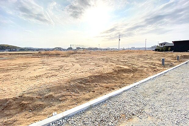 ※現地写真［4号地］