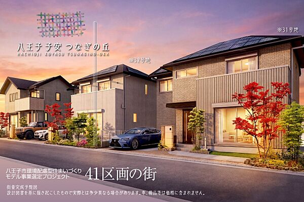 31号地