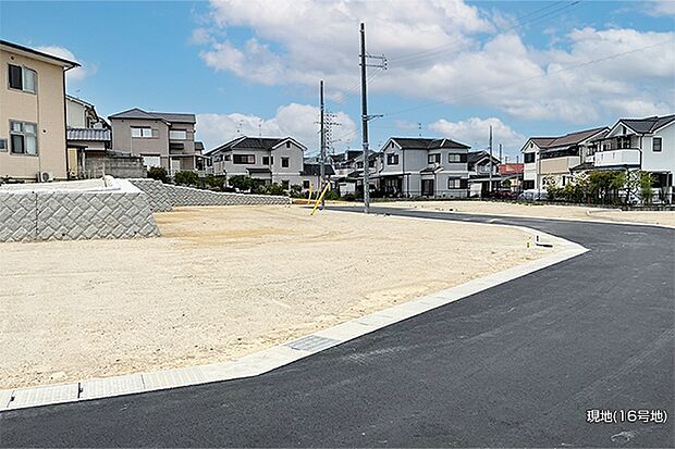 ［現地写真］