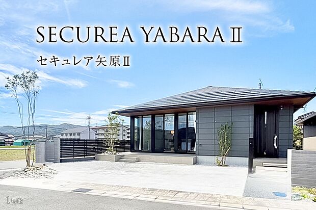 1号地