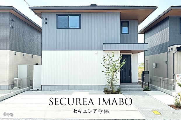 6号地