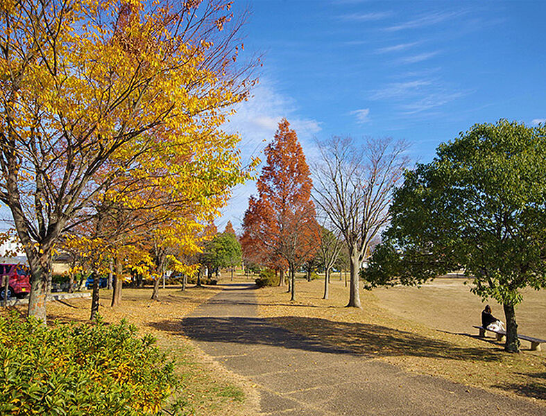 【レジャー】八山田公園