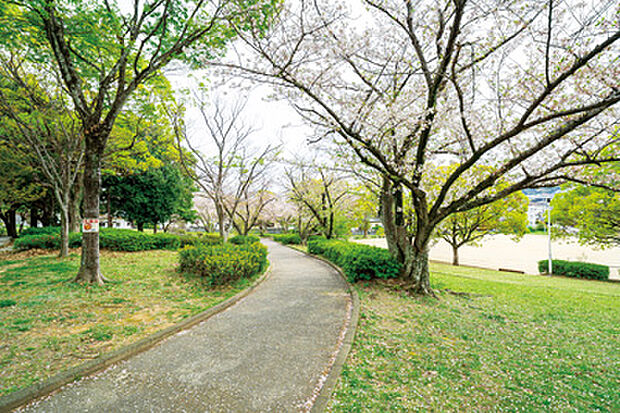 松崎中央公園