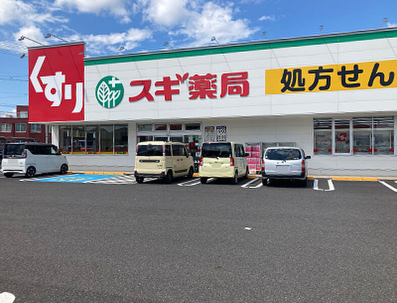 【買い物】スギ薬局柏森駅南店