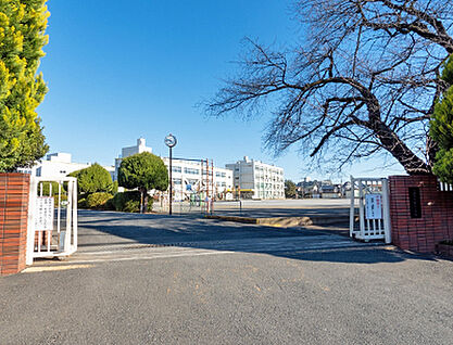 藤沢小学校 約210m