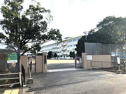 柳西中学校 約190m