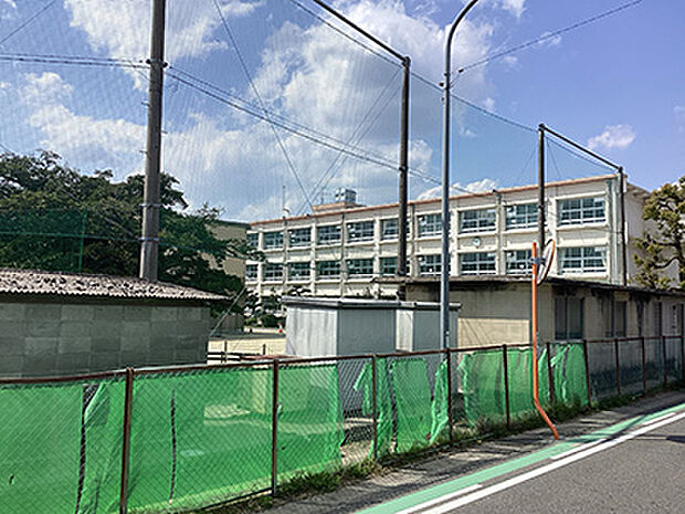 小野小学校