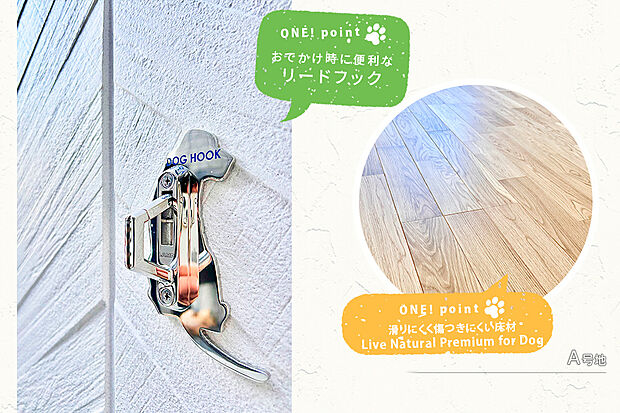 【A号地 その他】A号地