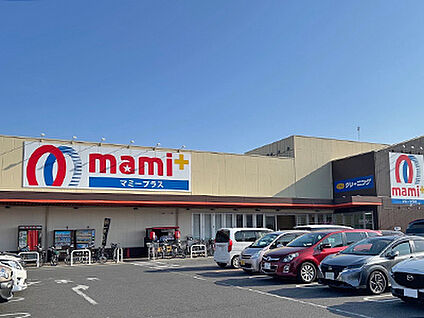 マミープラス柏根戸店 約230m