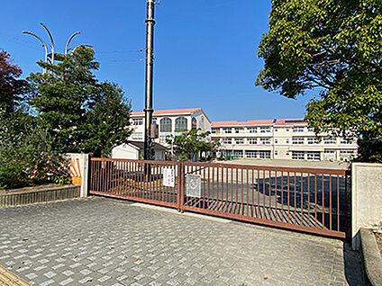 美山小学校 約1100m
