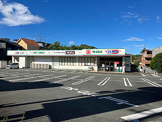 ドラッグセイムス麻生田店