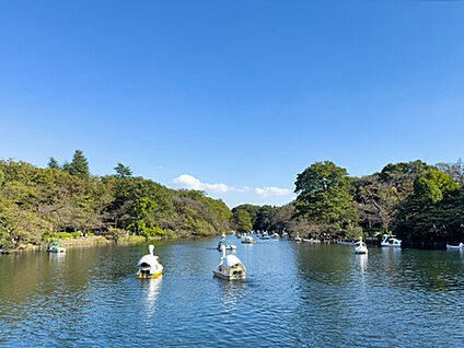 井の頭恩賜公園 約2000m