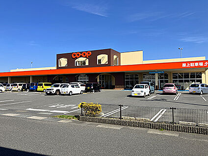 コープ宮崎花ヶ島町店 約890m