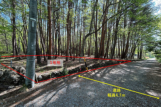 【1号地 前面道路含む現地写真】平坦な地形と1000m2を超える大きさで、自然を身近により感じられる土地です。