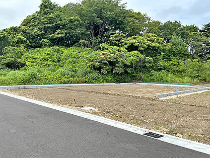 1-6号地 前面道路含む現地写真