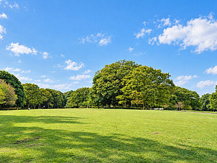 砧公園 約1520m