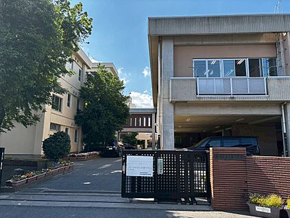 柏市立酒井根中学校 1200ｍ(徒歩約15分)