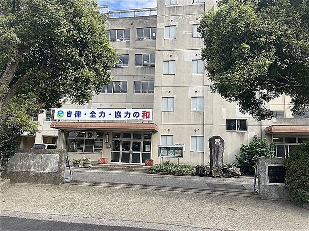 和名ケ谷中学校(約1m)