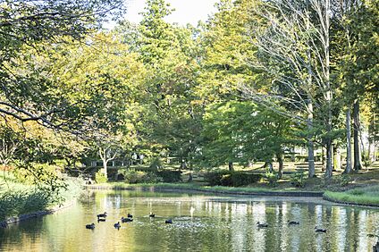 かつらぎ公園 240(徒歩 1分~3分　車 約1分)