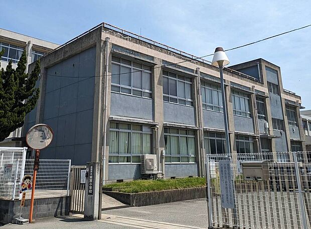 城西小学校(約500m)