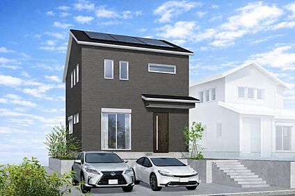 5号地