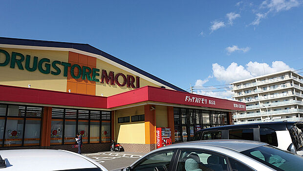 ドラッグストアモリ長丘店(約740m)