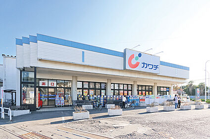 カワチ薬品中川店（現地より徒歩9分） 約720m