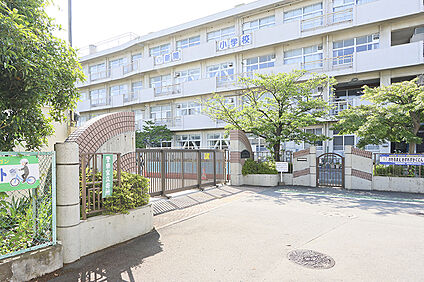 新開小学校（現地より徒歩15分） 約1200m