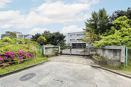 高津中学校（現地より徒歩10分） 約760m