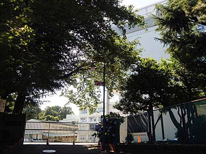 横浜市立長津田小学校 500m(徒歩約7分)