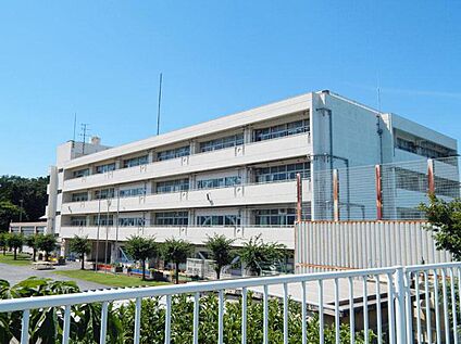 横浜市立伊勢山小学校 550m 