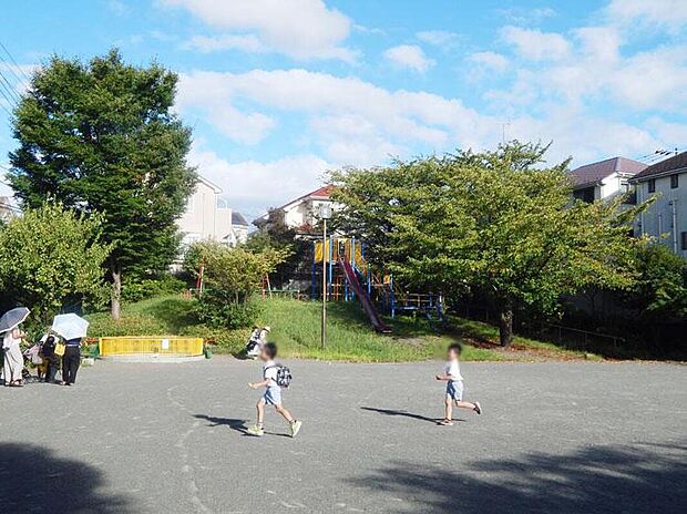 下倉田小松ヶ丘公園(約550m)