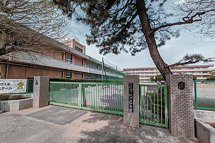 大砂土中学校（現地より徒歩16分） 約1250m