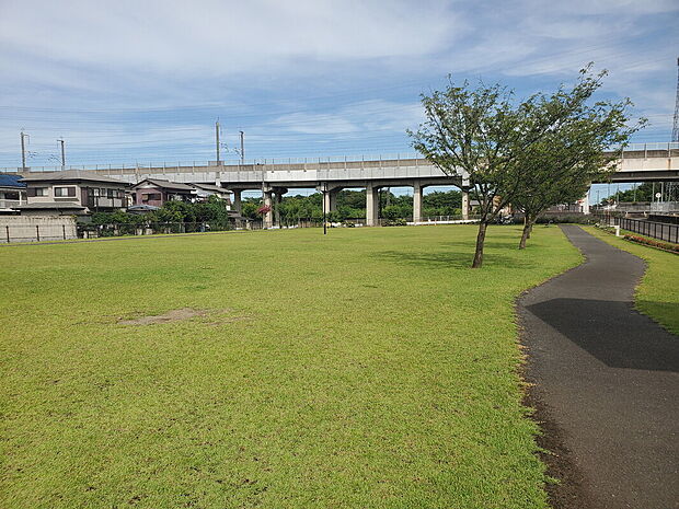 羽川ふれあい公園(下田公園)(約300m)