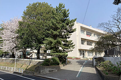 本庄市立本庄西小学校 徒歩600m
